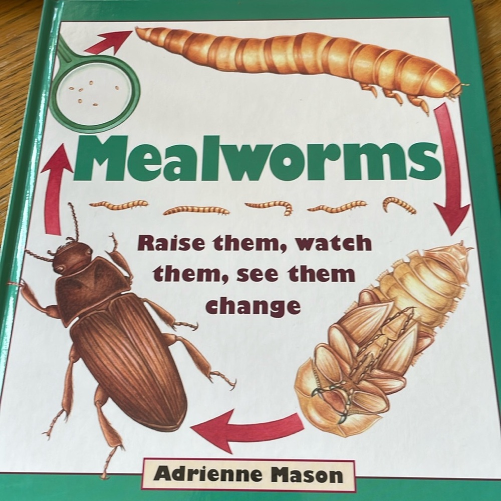 Mealworms Book by Adrienne Mason